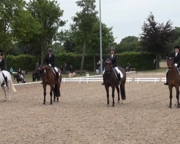 Sommerturnier Fröndenberg 2014