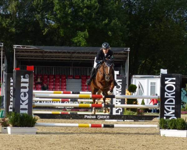 jumper Clementina 3 (German Riding Pony, 2011, from FS Champion de Luxe)