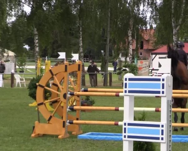 Großes Sommerturnier in Hille 2014