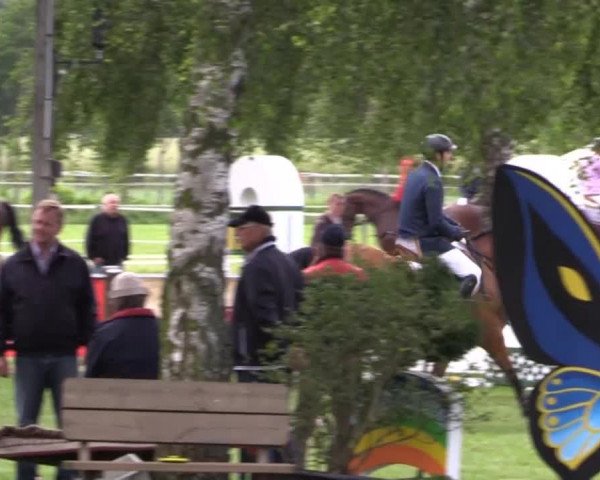Großes Sommerturnier in Hille 2014