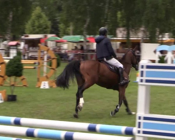 Großes Sommerturnier in Hille 2014