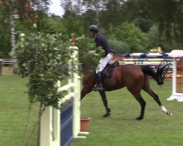 Großes Sommerturnier in Hille 2014