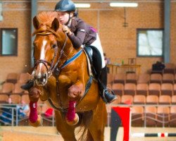 horse Ivonna (Latvian Warmblood, 2007, from Intervals)