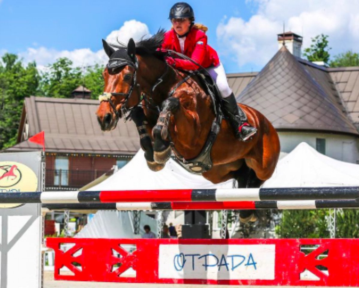 Springpferd Forever Sensation (KWPN (Niederländisches Warmblut), 2003, von Numero Uno)
