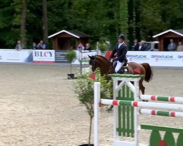 Weser Ems Meisterschaften Cloppenburg 2014