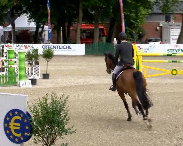 Weser Ems Meisterschaften Cloppenburg 2014