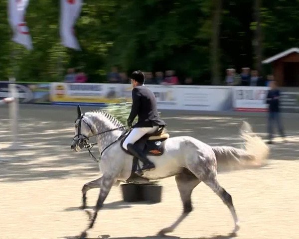 Weser Ems Meisterschaften Cloppenburg 2014