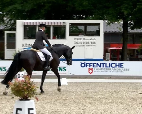 Weser Ems Meisterschaften Cloppenburg 2014