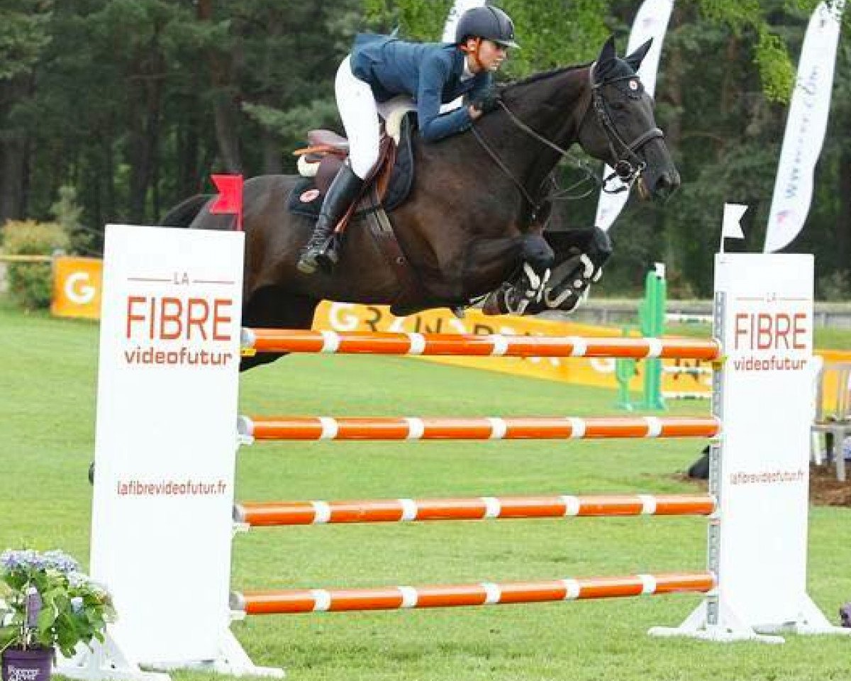 broodmare Pepita de Charmois (Selle Français, 2003, from Arpege Pierreville)