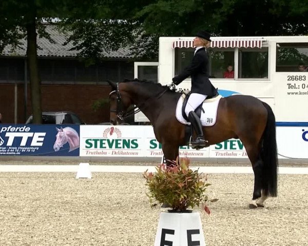 Weser Ems Meisterschaften Cloppenburg 2014
