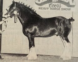 horse Torrs Scotsman (Clydesdale, 1984, from Broom Designer)