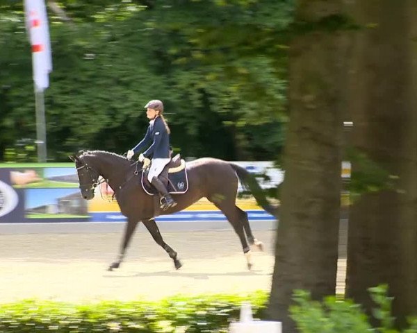 Weser Ems Meisterschaften Cloppenburg 2014