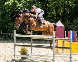 jumper Lancome L (KWPN (Royal Dutch Sporthorse), 2008, from L'Esprit)