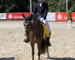 dressage horse Hilly's Nora (Welsh-Pony (Section B), 2006, from Ysselvliedt's Nightrider)