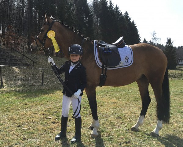 broodmare Cascalina A (German Riding Pony, 2011, from FS Champion de Luxe)