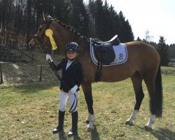 Zuchtstute Cascalina A (Deutsches Reitpony, 2011, von FS Champion de Luxe)