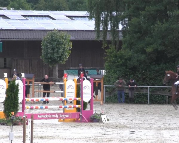 Schwerte - Gut Kückshausen 2014