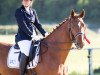 dressage horse Rubinero 14 (Hanoverian, 2007, from Rascalino)