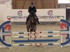 jumper Calando 107 (German Sport Horse, 2016, from Carleyle)