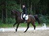 dressage horse Churchill 30 (Hanoverian, 2000, from Charon)