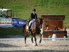 dressage horse Saphir 20 (Austrian Warmblood, 2009, from Scolari)