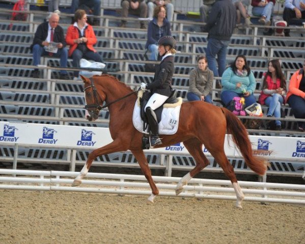 dressage horse Tropensonne (German Riding Pony, 2011, from Totilas)
