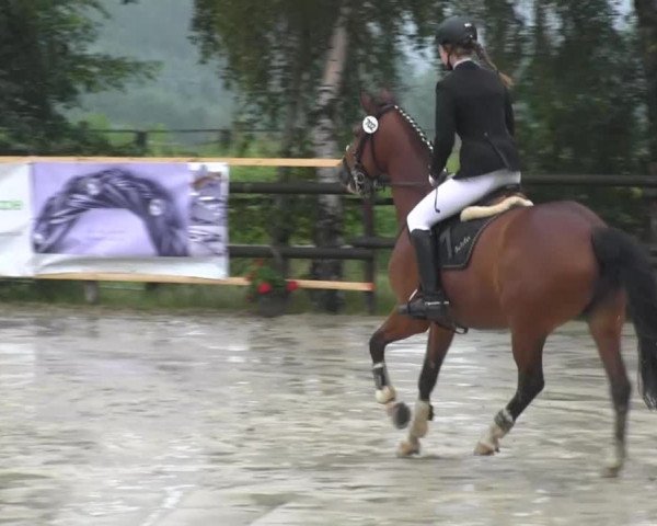 Schwerte - Gut Kückshausen 2014