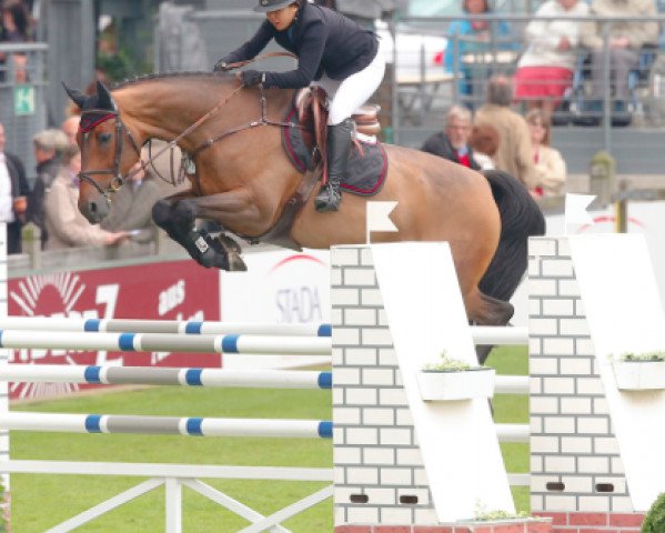 jumper Heraldo S (German Sport Horse, 2003, from Hoyo de Monterey)