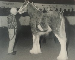 Pferd Thistle Ridge Eaton Tristan (Clydesdale, 1995, von Hillmoor Fusilier)