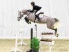 jumper Call Me Clinton 3 (Hanoverian, 2016, from Clinton's Heart)