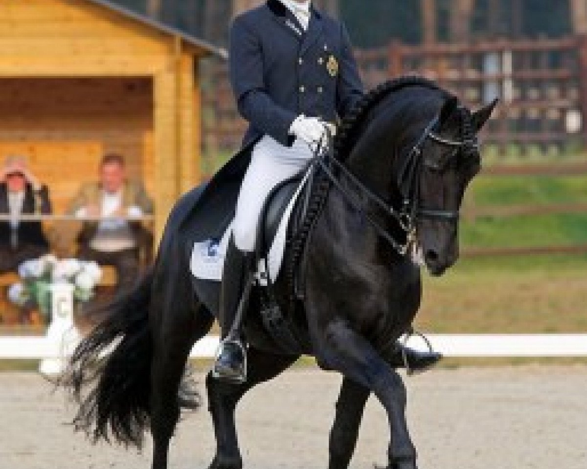 stallion Adel (Friese, 1992, from Ludse 305)