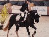 dressage horse Aurora (Pony without race description, 2007, from Unbekannt PONY)