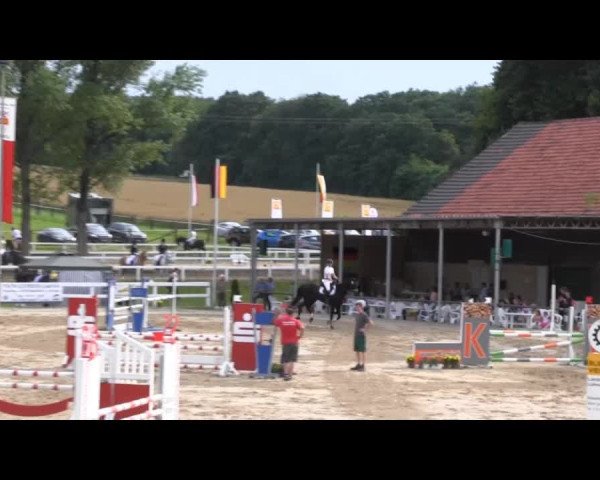 Reit- und Springturnier des RV Letmathe e.V. 2014