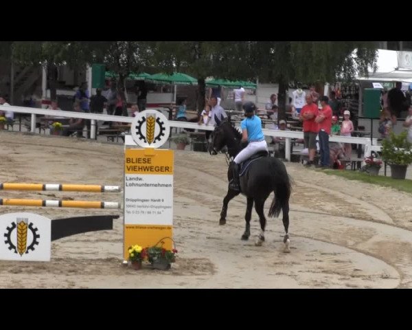 Reit- und Springturnier des RV Letmathe e.V. 2014