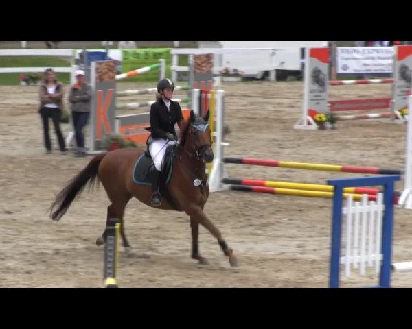 Reit- und Springturnier des RV Letmathe e.V. 2014