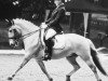 dressage horse Pedro 965 (Fjord Horse, 2003, from Pjokk)