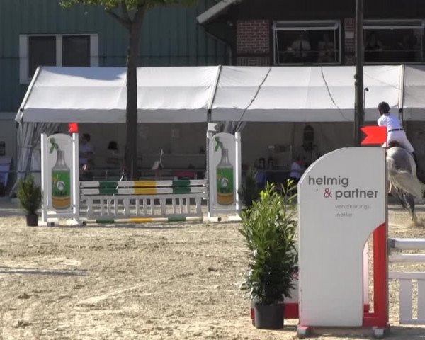 Reitturnier Senden 2014