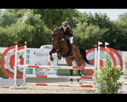 jumper Quinn 60 (Hanoverian, 2013, from FRH Quaid)