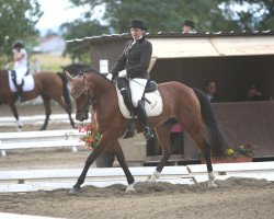 Pferd Naradi (Österreichisches Reitpony, 2004, von Dinko)