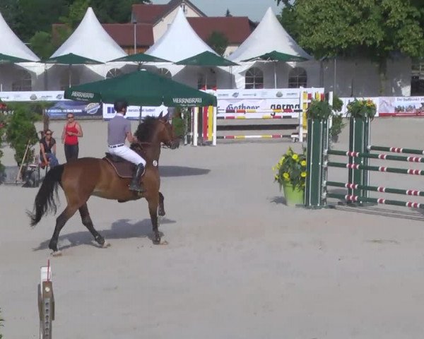 Reitertage Hagau 2014