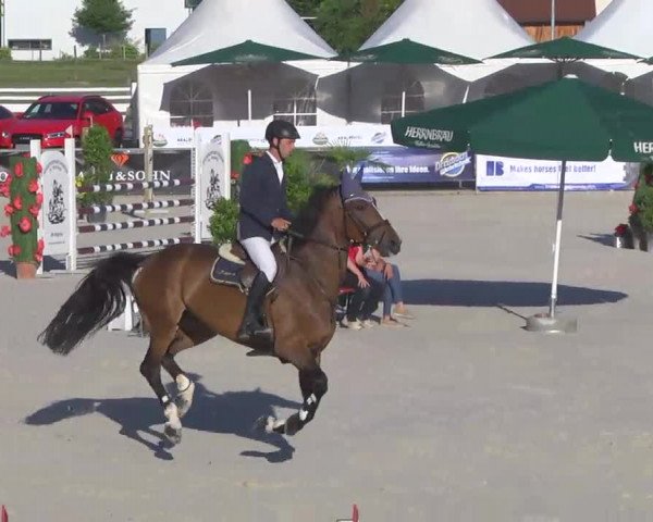 Reitertage Hagau 2014