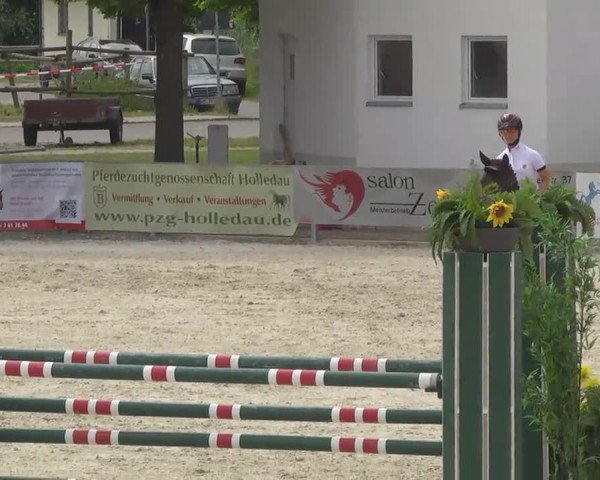 Reitertage Hagau 2014