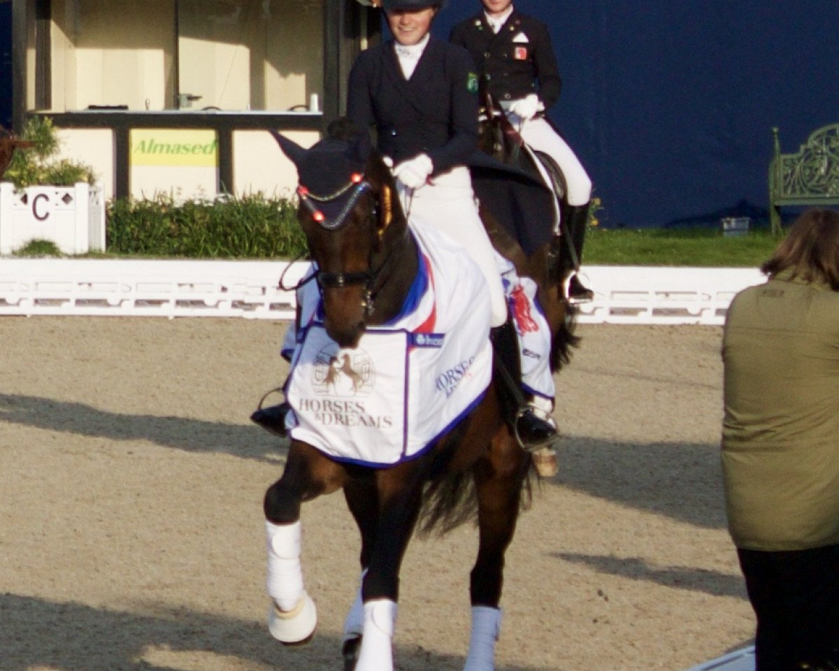 Dressurpferd Zafriq de Jeu (KWPN (Niederländisches Warmblut), 2004, von Rousseau)