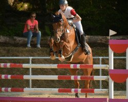 jumper Crazy Dream 2 (Hanoverian, 2009, from Charming Boy 38)