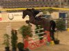 jumper Calimero 573 (Hanoverian, 2008, from Contendro I)