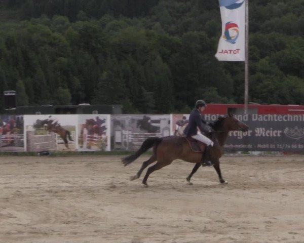 Reitturnier Lindlar 2014