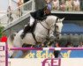 stallion Sir Corland (KWPN (Royal Dutch Sporthorse), 1999, from Corland)
