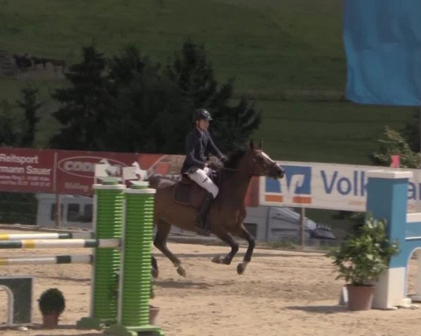 Reitturnier Lindlar 2014