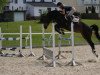 jumper Singulina K (Oldenburg show jumper, 2013, from Singulord Joter)