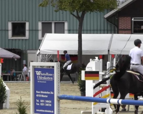 Reitturnier Senden 2014